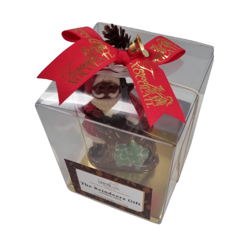 The Reindeer's Gift (reindeer santa)