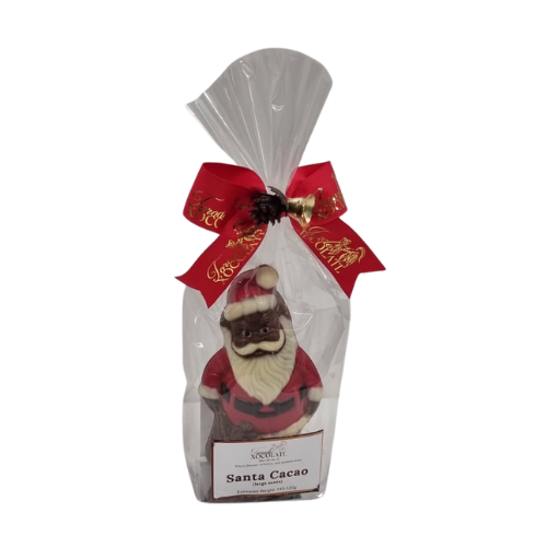 Santa Cacao (large santa)